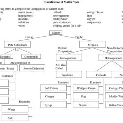 Number classification worksheet answer key