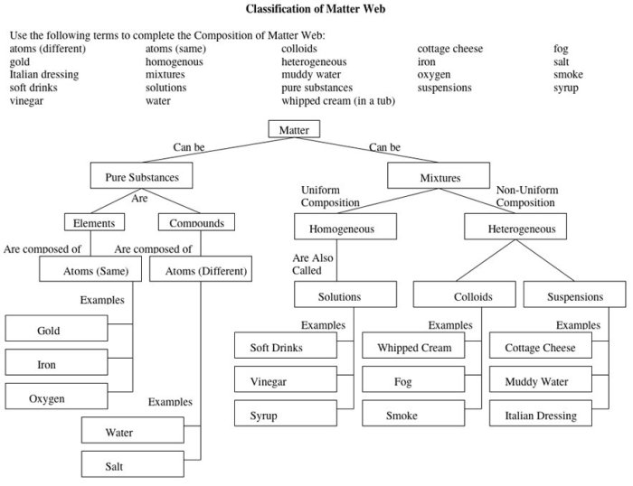 Number classification worksheet answer key