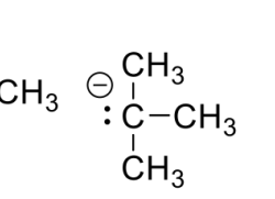 Draw the structural formula of 3z 5z 4 5-dimethyl-3 5-nonadiene